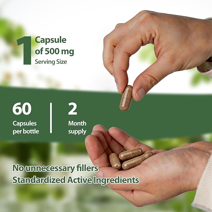 Rhodiola Rosea - Natural Adaptogen Made in USA [400mg]